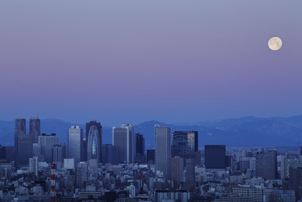 Tokyo skyline views at dusk